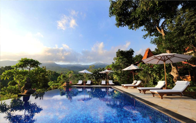 Infinity pool with the dense North Bali jungle in the background.